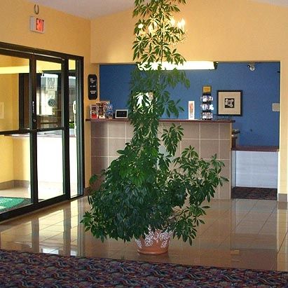 Oxford Inn And Suites Nasa Webster Interior photo